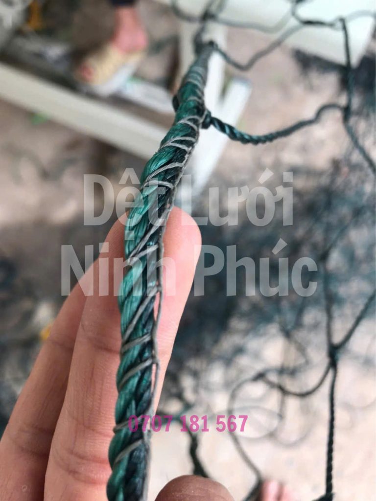 Bo viền lưới sân pickleball