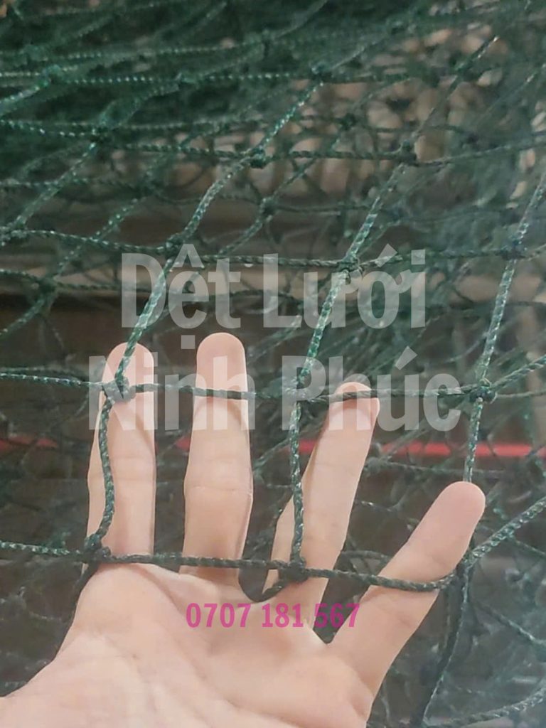 Lưới pickleball ô 5cm