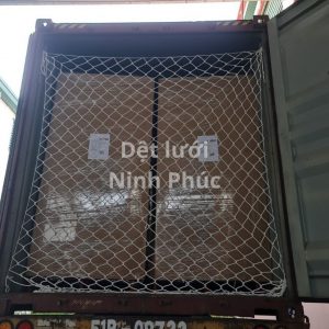 Lưới container